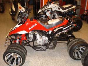 ATV -QUAD - PIESE 2011  GERMANIA