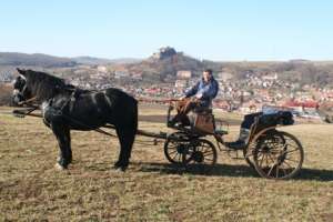 CAI DE RASA DEOSEBITI TRASURI SI HAMURI