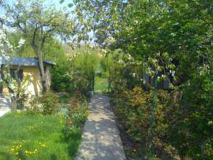 balotesti casa de vinzare