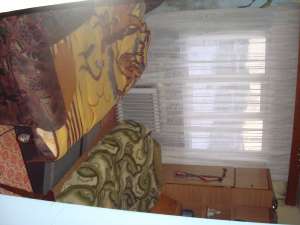 BAIA SPRIE str PLEVNEI 2 CAMERE ,  22000 EURO