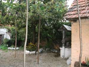 VAND CASA IN AMNAS, SALISTE 28KM DE SIBIU