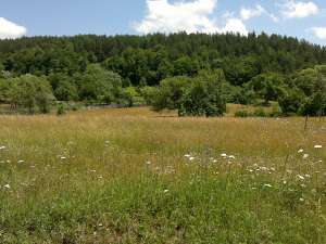 VIND TEREN FOARTE URGENT !!! 1� /m.p