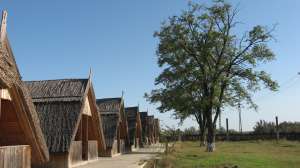 Investitie in Delta Dunarii 736 Ha