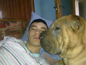 caut femela sharpei