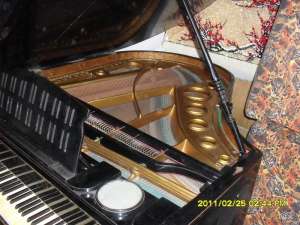 VAND PIAN DE CONCERT COADA SCURTA,  WAGNER MIGNON