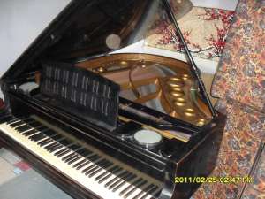 VAND PIAN DE CONCERT COADA SCURTA,  WAGNER MIGNON