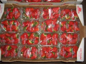 legume si fructe
