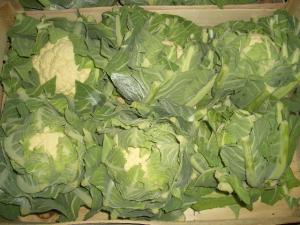 legume si fructe