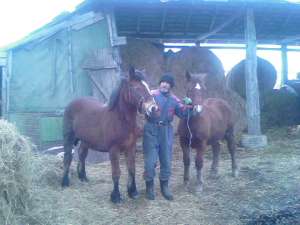 vand manzii