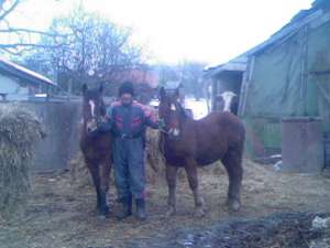 vand manzii