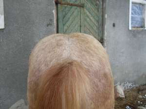 Vand manz muran