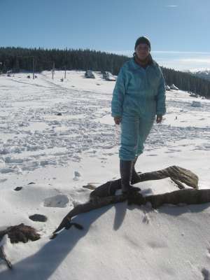 vind ski