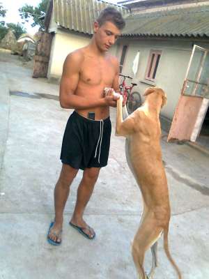 ogar