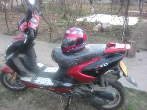 VIND , , SCUTER