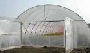 vind solarii pt legume ieftine profesionale