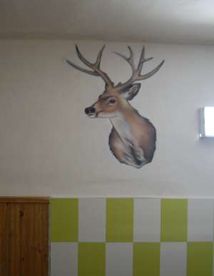 DESENE PERETE TIP GRAFFITI