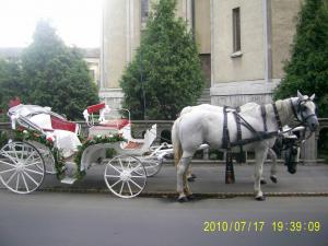 caleasca de inchiriat- nunta de vis
