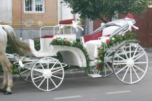 caleasca de inchiriat- nunta de vis
