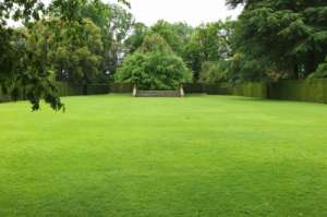 seminte gazon profesional,   PEISAGISTICA INTRETINERE