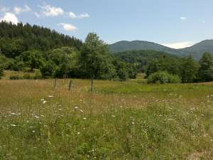 VIND FOARTE URGENT CONVENABIL  TEREN SOVEJA VRANCEA 1� m.p