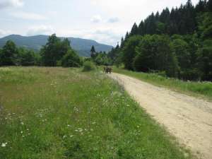 VIND FOARTE URGENT CONVENABIL  TEREN SOVEJA VRANCEA 1� m.p