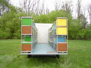 Vand pavilion apicol inteligent