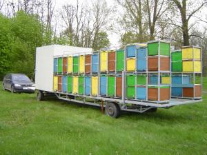 Vand pavilion apicol inteligent