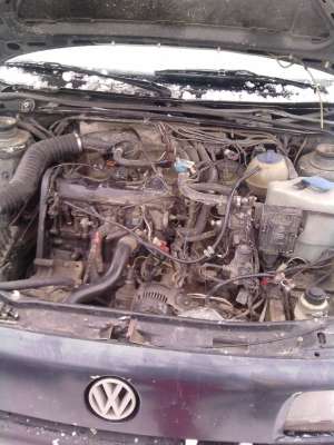 volkwagen passat