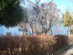 2 CAMERE ,    G.ENESCU