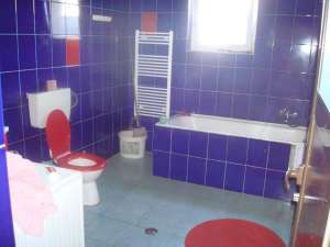 CASA +TEREN ZONA VASILE ALECSANDRI 370000 EURO