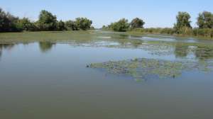 Investitie in Delta Dunarii 736 Ha