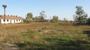 Investitie in Delta Dunarii 736 Ha
