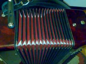 vand acordeon hohner
