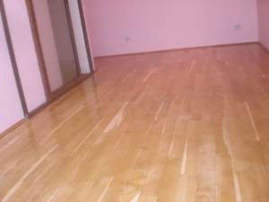 APARTAMENT 2 CAMERE+BALCON 51MP MANSARDA 29900E ALEXANDRU POSTA