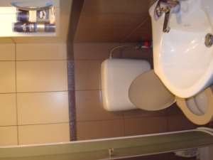3 CAMERE,   DECOMANDAT HORTENSIEI