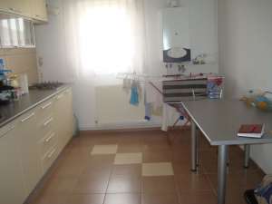 3 CAMERE,   DECOMANDAT HORTENSIEI