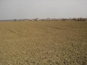 VAND TEREN 26200 MP LA 700 METRI DE LA DN1  PLOIESTI-BUCURESTI