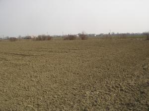 VAND TEREN 26200 MP LA 700 METRI DE LA DN1  PLOIESTI-BUCURESTI
