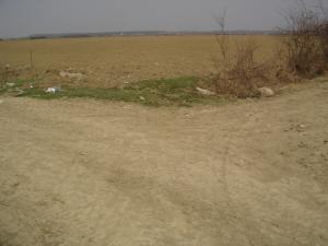 VAND TEREN 26200 MP LA 700 METRI DE LA DN1  PLOIESTI-BUCURESTI