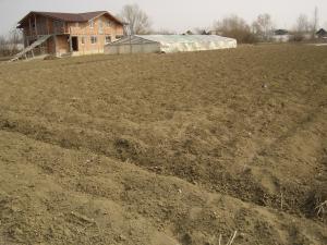 Vand teren de casa 2400 mp    in Pietrosani   Prahova