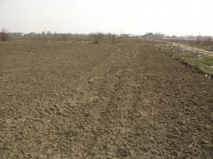 Vand teren 26200 mp   in Puchieni Mosneni    Prahova