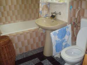 3 CAMERE,   DECOMANDAT PETRU RARES