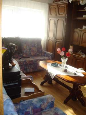 4 CAMERE; OITUZ; 60000 EU