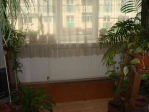 3CAMERE,   DECOMANDAT,   ULTRACENTRAL
