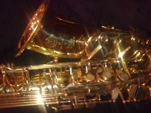 vand saxofon alto selmer super action 2