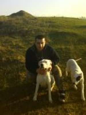 VAND CATEI DOG ARGENTINIAN