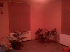 CASA DE LOCUIT SAU DE VACANTA IN STATIUNEA PUCIOASA