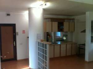 3 camere Camera de comert
