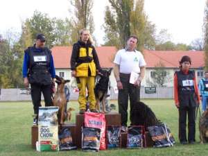 Vand pui de Malinois