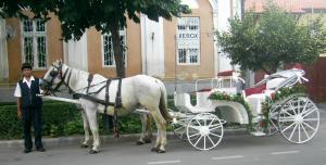 caleasca de inchiriat- nunta de vis
